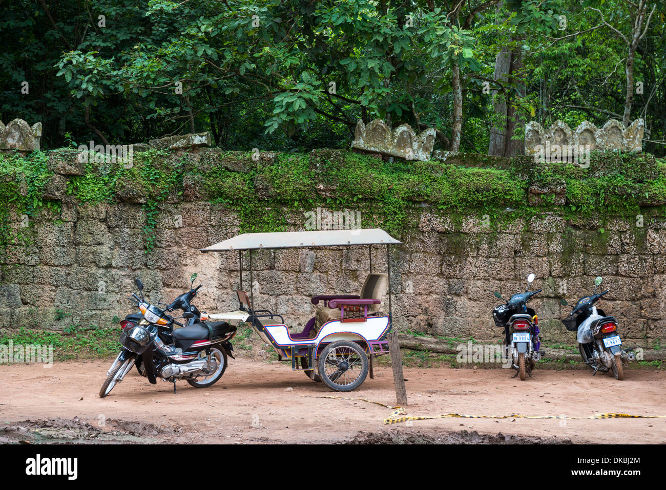 Árbol de Ta Prohm y las ruinas del templo en Siem Reap, Camboya Foto de stock