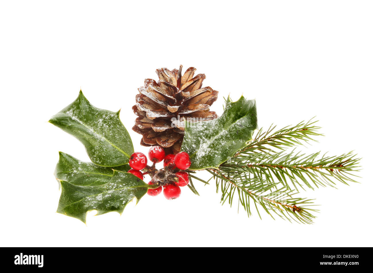 Follaje estacional de Navidad un cono de pino, agujas de pino y Holly con bayas aisladas contra un blanco Foto de stock