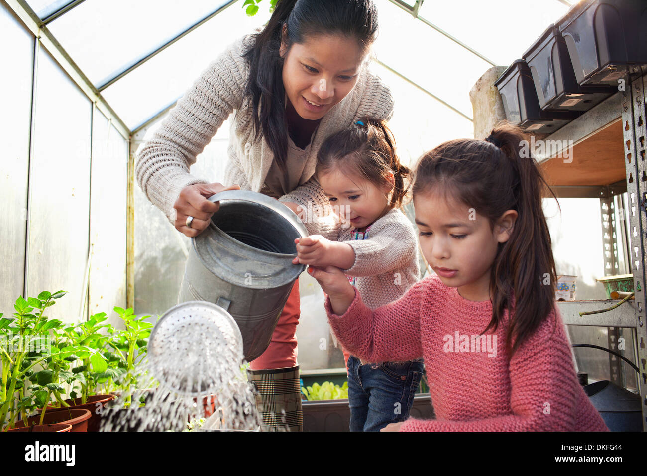 Madre y sus hijas regar las plantas en invernadero Foto de stock