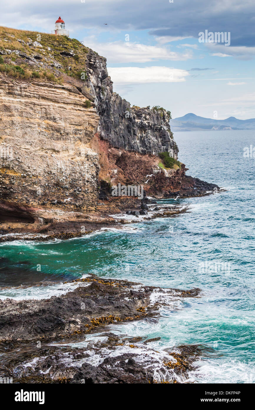 Faro a la natural Inner Harbour de Dunedin, Otago, Isla del Sur, Nueva Zelanda, el Pacífico Foto de stock