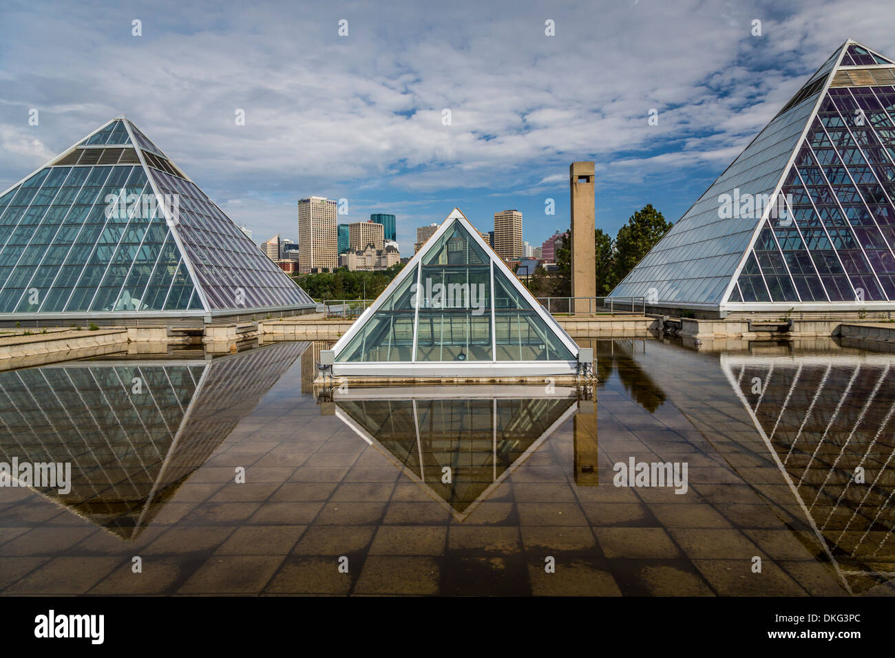 El Conservatorio Muttart pirámides y el horizonte de la ciudad de Edmonton, Alberta, Canadá. Foto de stock