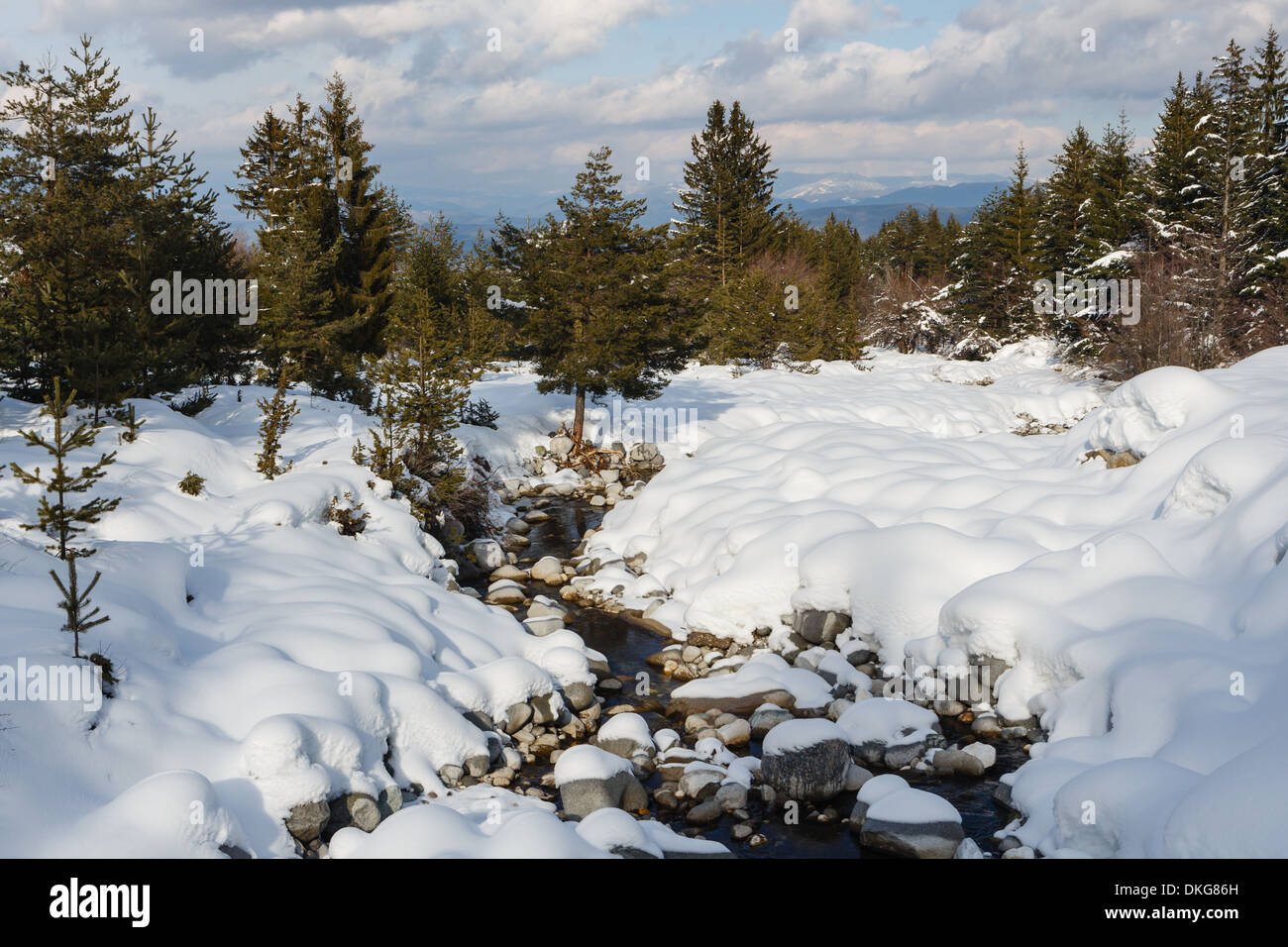 Arroyo de montaña que fluye entre las piedras cubiertas de nieve Foto de stock