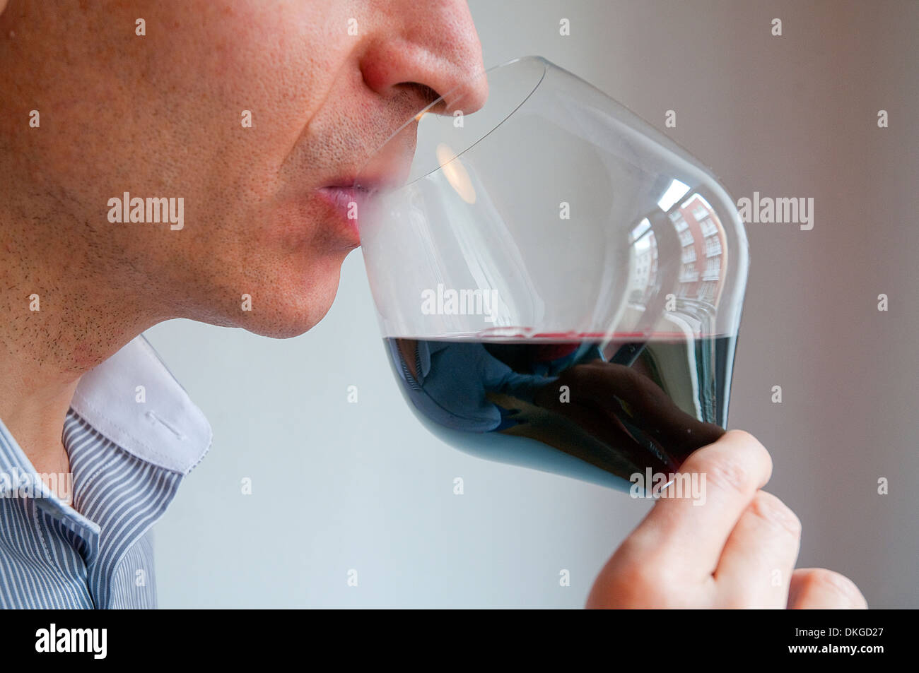 Catador beber un vaso de vino tinto. Cerrar vista. Foto de stock