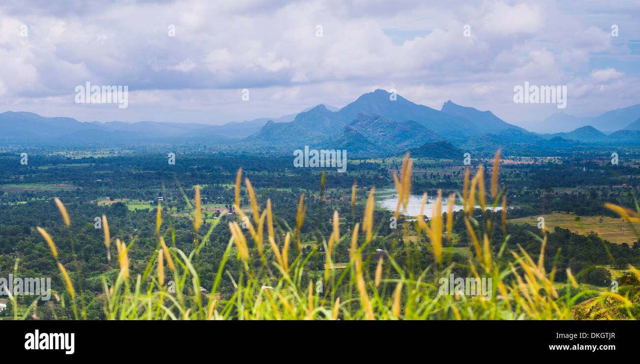 Sri Lanka paisaje, tomada desde la parte superior de la Fortaleza Sigiriya Rock (Roca León), Sigiriya, Sri Lanka, Asia Foto de stock