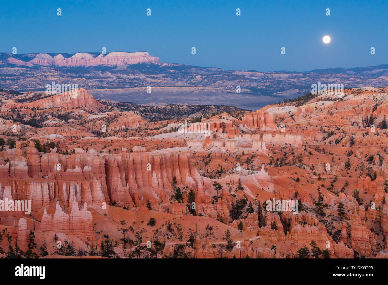 Luna sobre el Cañón Bryce anfiteatro desde el punto del amanecer, Bryce Canyon National Park, Utah, EE.UU. Foto de stock