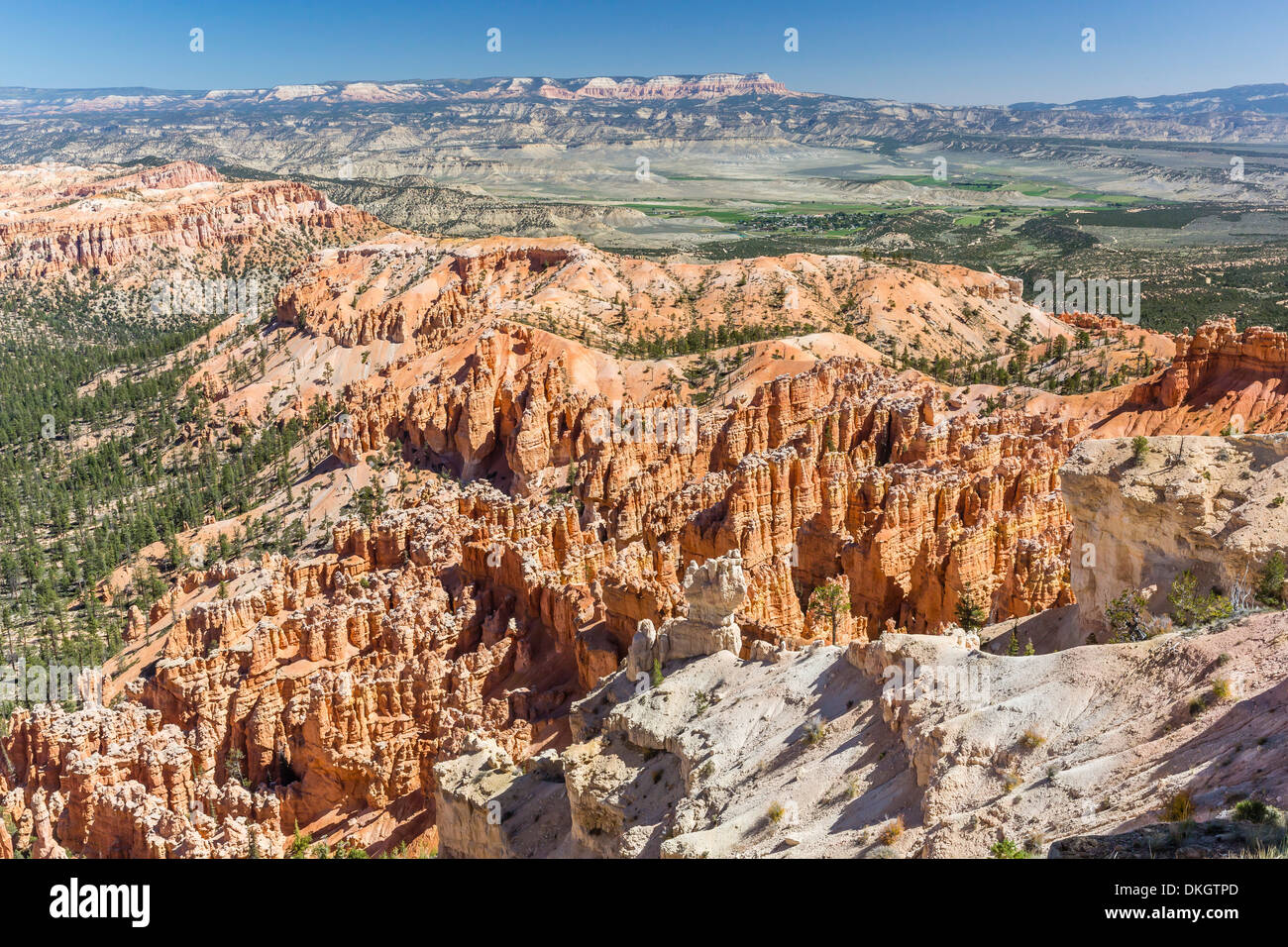 Bryce Canyon anfiteatro desde Bryce Point, Bryce Canyon National Park, Utah, Estados Unidos de América, América del Norte Foto de stock