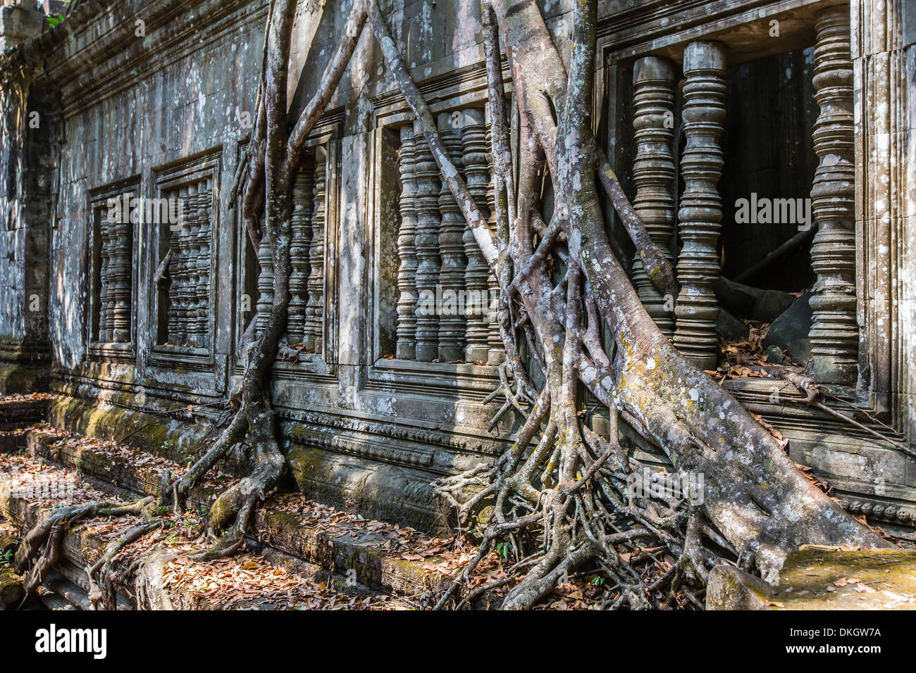 Beng Mealea templo, cubierto y cayendo, Angkor, sitio del Patrimonio Mundial de la UNESCO, de la provincia de Siem Reap, Camboya, en el sudeste de Asia Foto de stock
