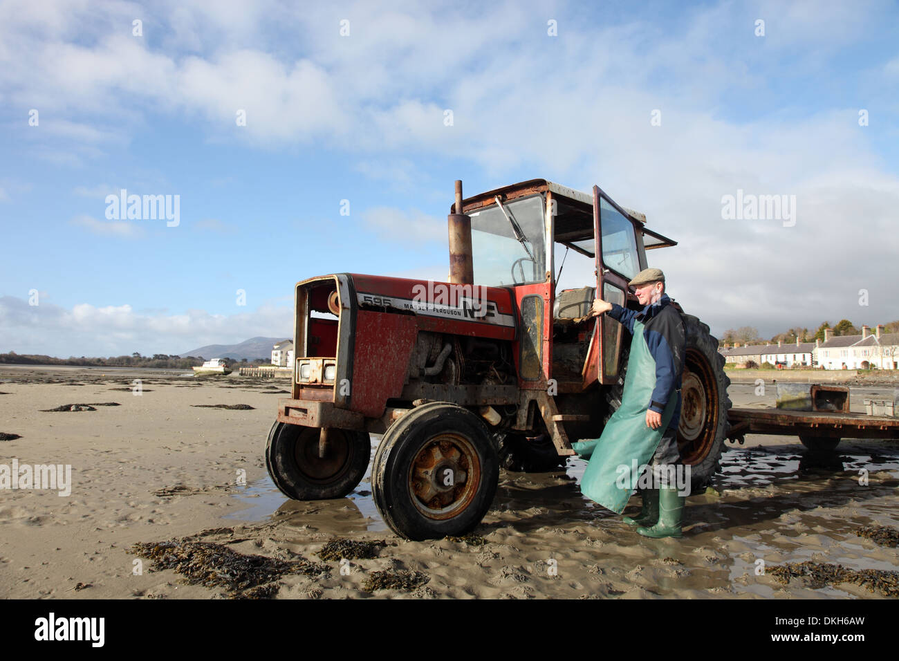 Oyster farmer Robert Graham de ostras de la Bahía Dundrum, camino a cosechar sus ostras, Dundrum, Co., Irlanda del Norte Foto de stock