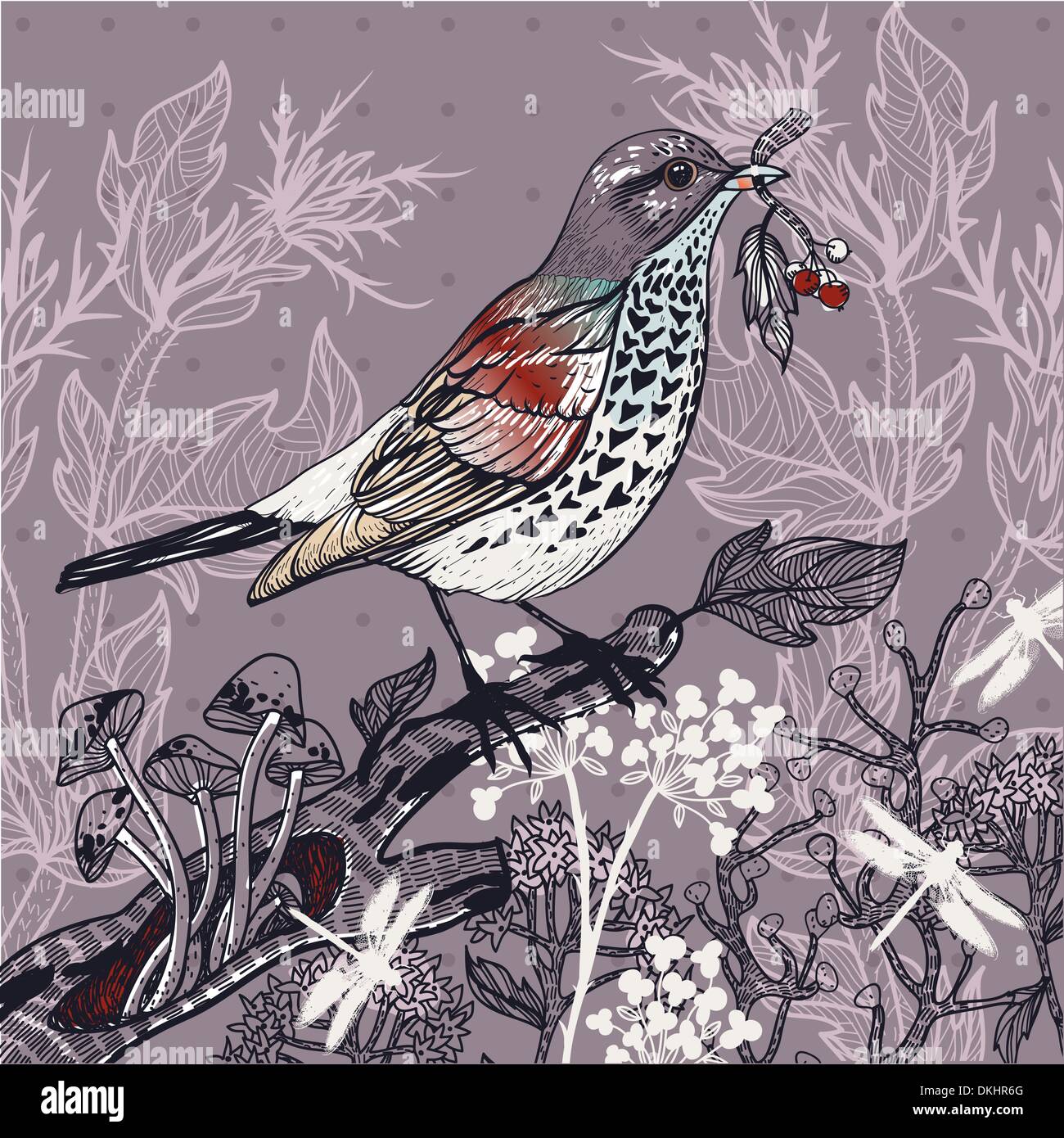 Ilustración vectorial de un bosque de aves y plantas silvestres y hongos. Ilustración del Vector