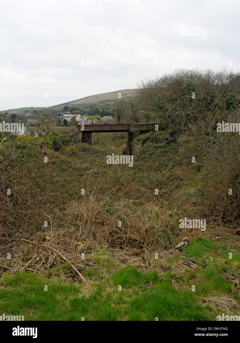Bantry vía férrea cama y acueducto en estado abandonados Foto de stock