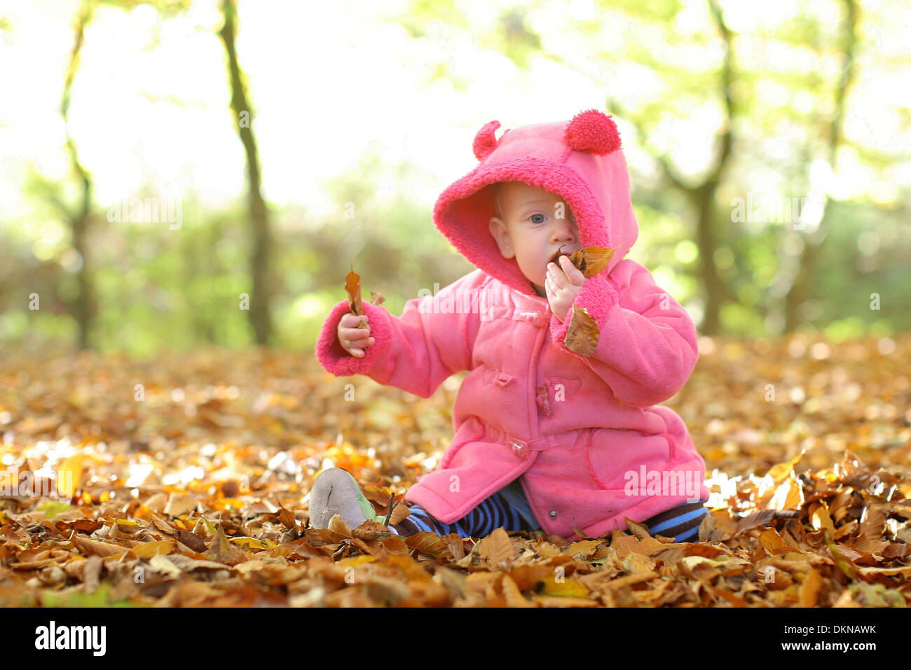Bebé masticar las hojas en otoño Foto de stock