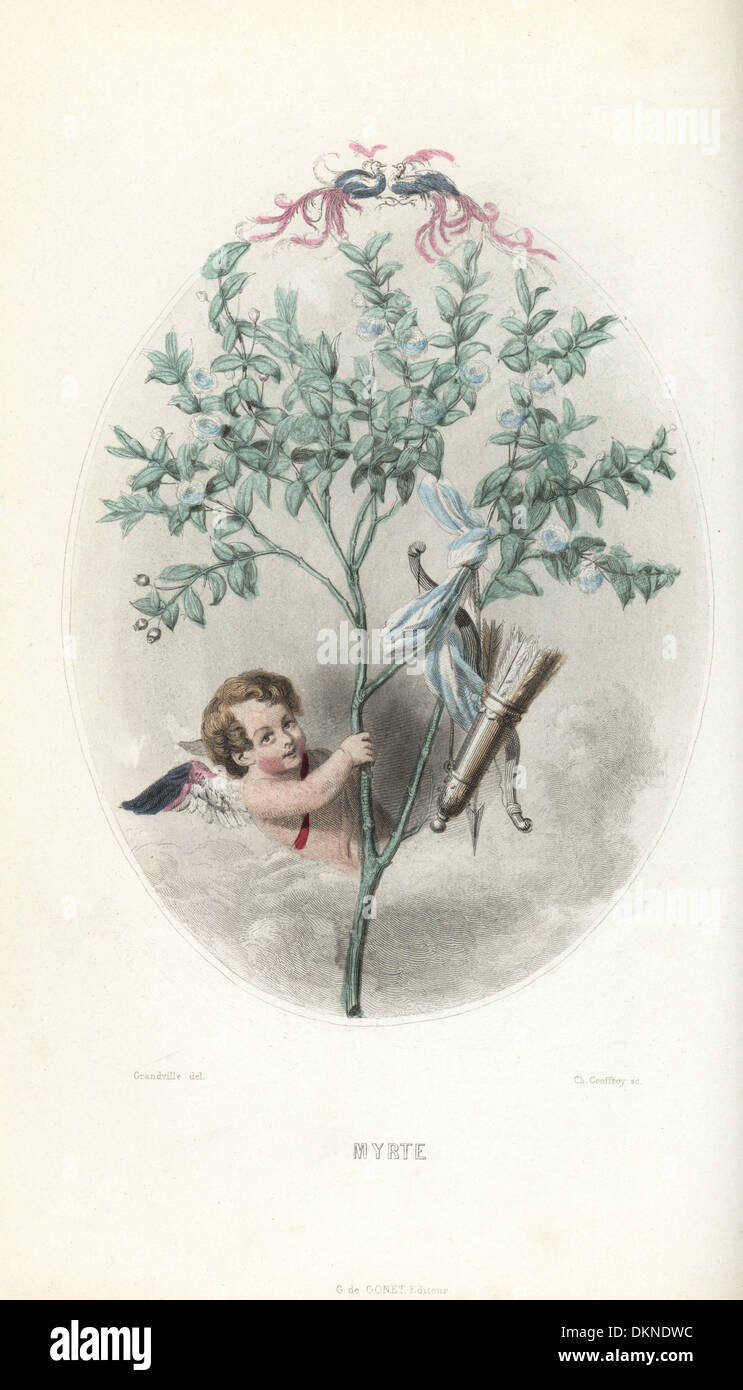 Cupid escondidos en un arbusto de mirto con su arco y flecha colgando de una cinta. Foto de stock