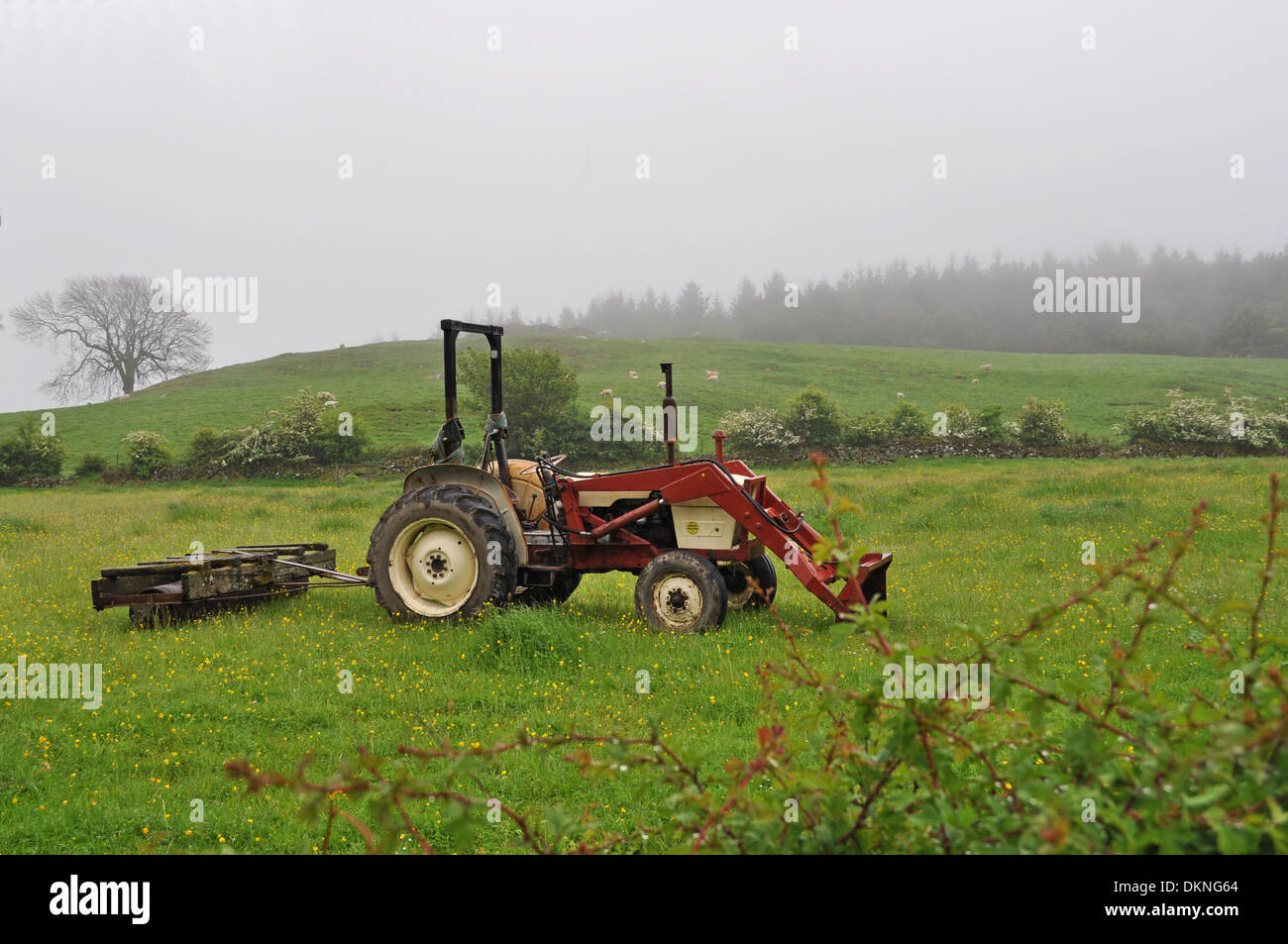 Tractor en una granja con un telón de fondo de montañas cubiertas de niebla y el pastoreo ovino Foto de stock