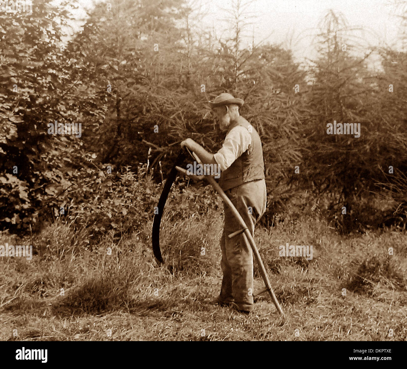 Agricultor usando una guadaña del período Victoriano Foto de stock
