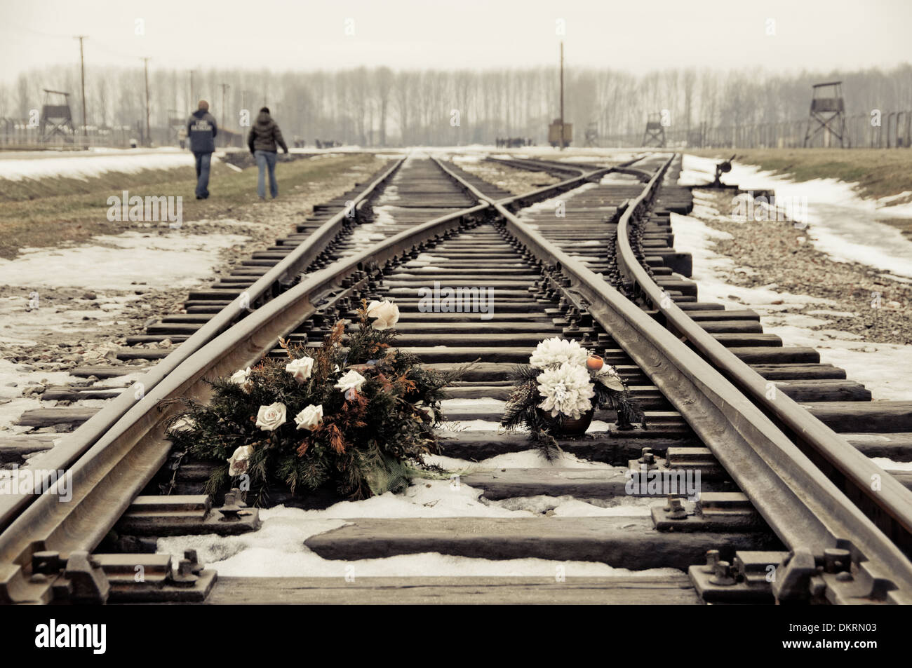 Resultado de imagen para Auschwitz Birkenau, Polonia