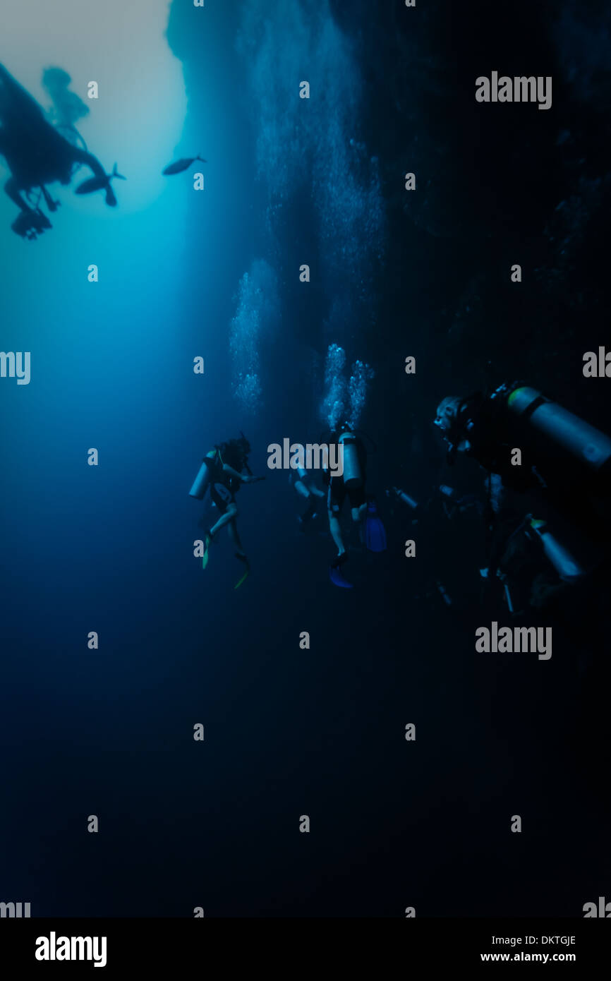 Los submarinistas exploran cara del agujero azul las paredes de la caverna como peces nadando por el Arrecife de Coral en el Mar Caribe Foto de stock
