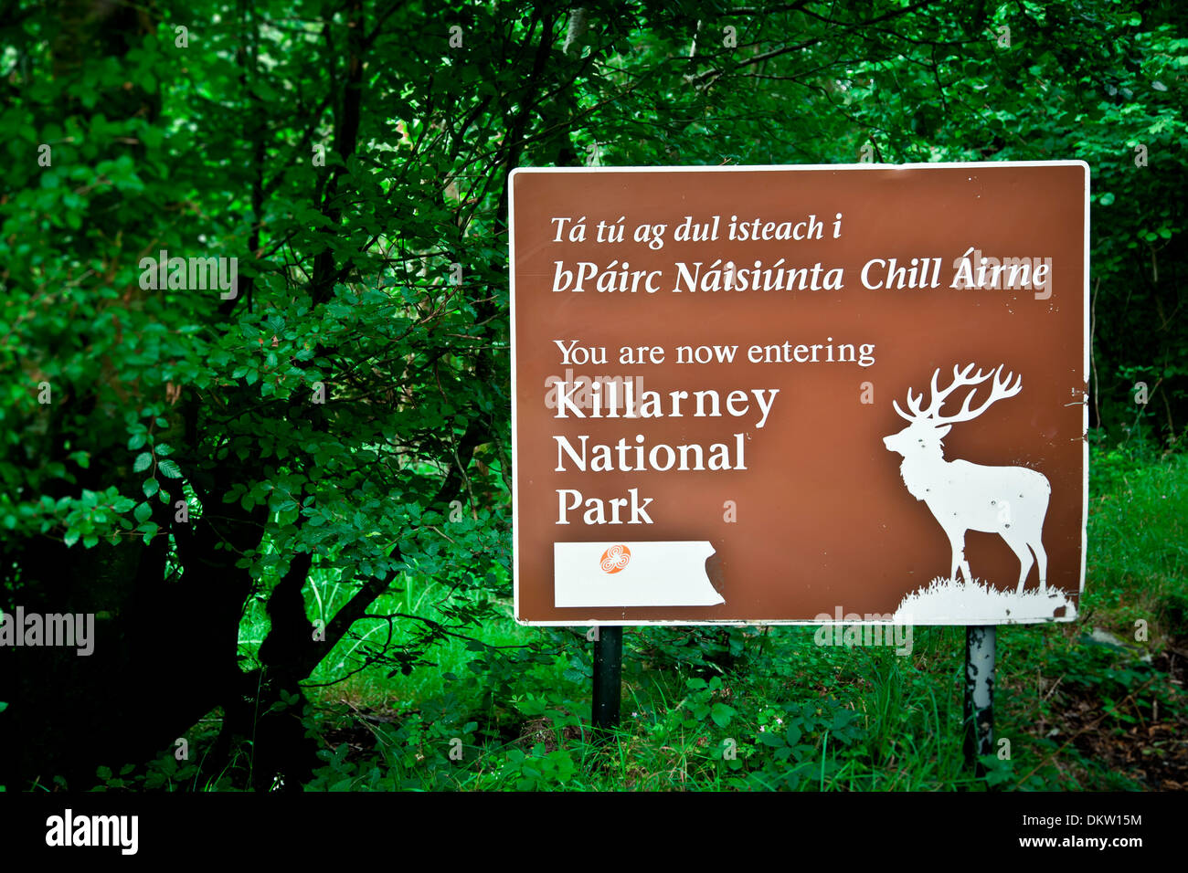 Señal. Parque Nacional de Killarney. Condado de Kerry, Irlanda, Europa. Foto de stock