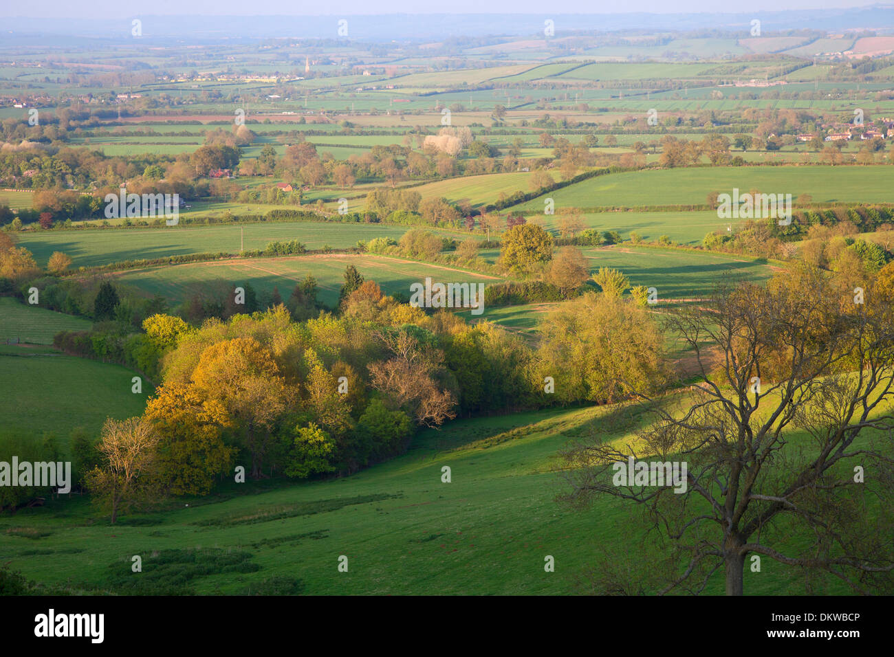 Campo pastoral en primavera. Ilmington, Cotswolds, Warwickshire, Inglaterra. Foto de stock