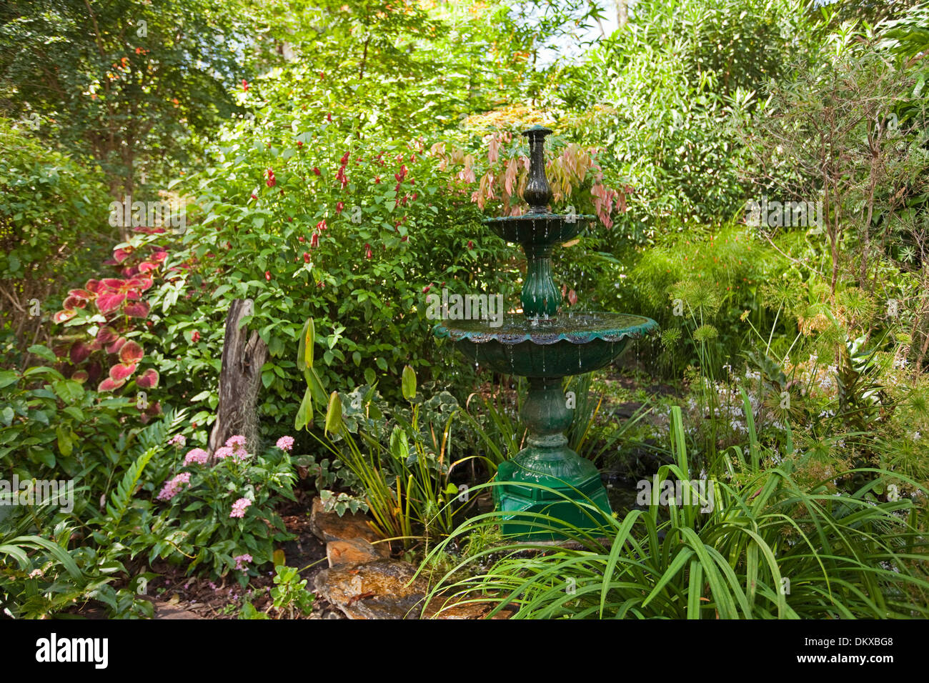 Espectacular exuberante jardín sub-tropical con fuente decorativa de agua esmeralda, característica de follaje, flores y arbustos perennes Foto de stock