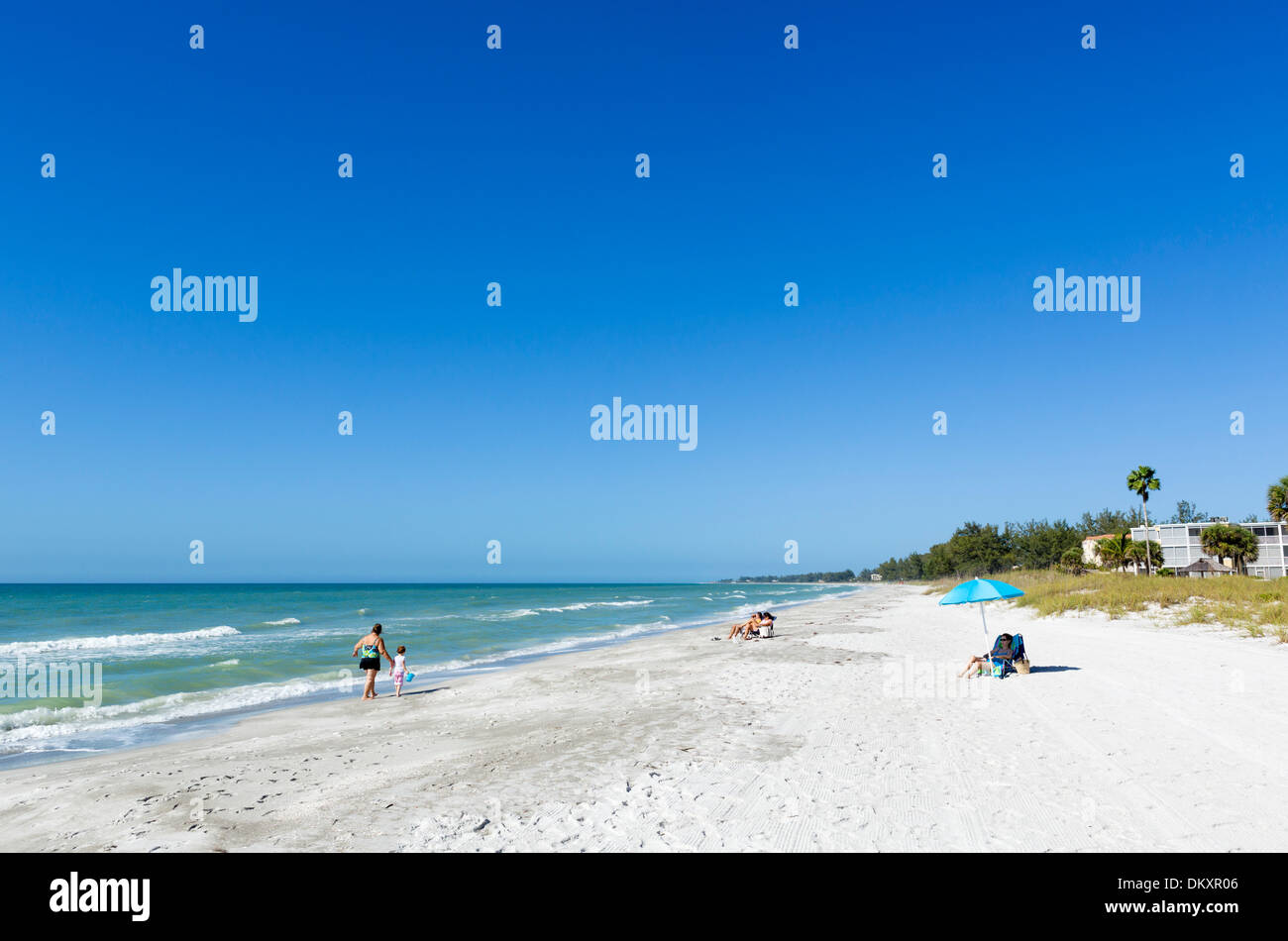 Playa en la Costa del Golfo de Longboat Key, Florida, EE.UU. Foto de stock