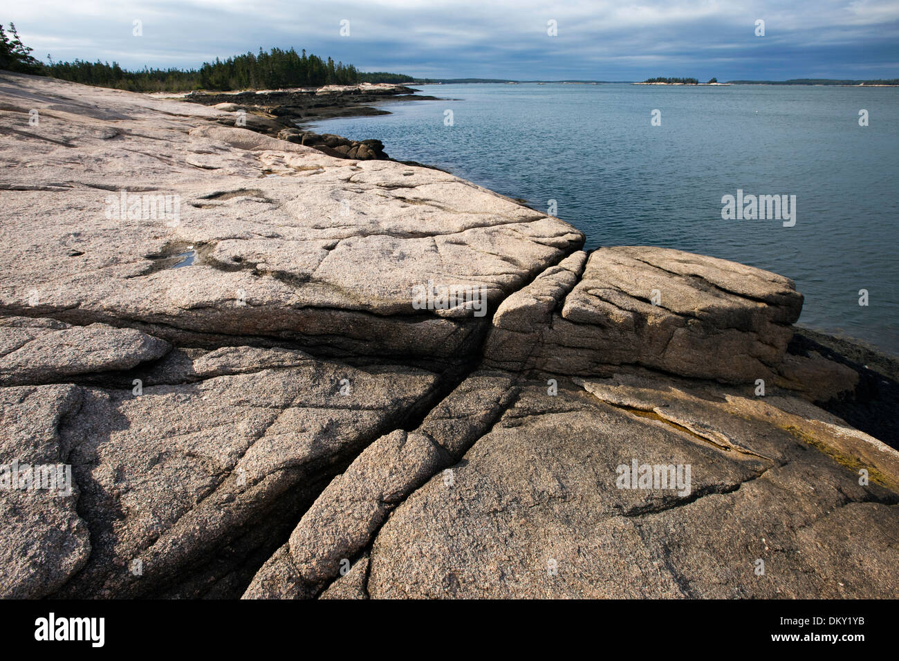 Gran Wass Isla preservar, Nature Conservancy, Maine Foto de stock