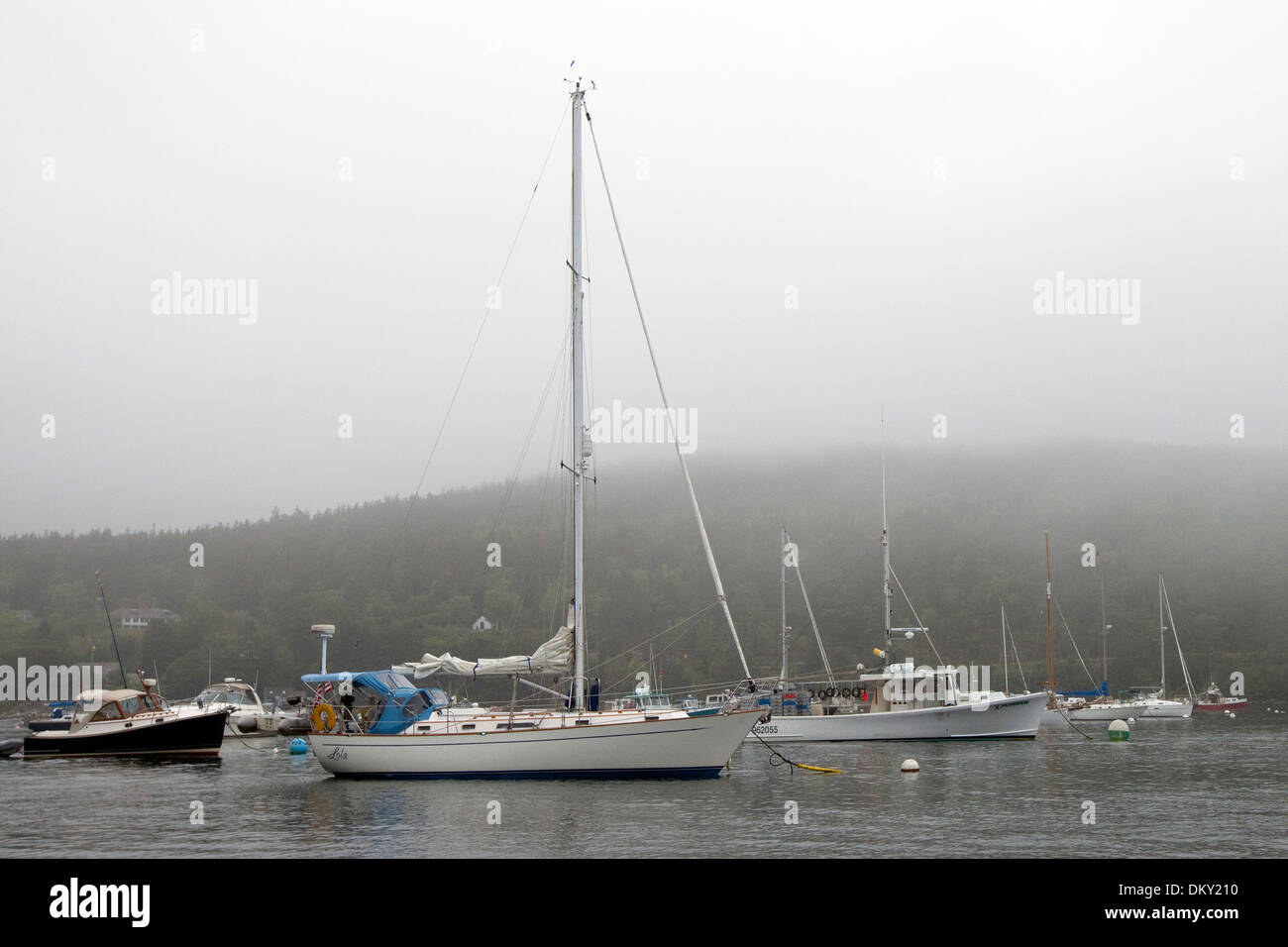 Veleros amarrados en Northast Harbor, Maine Foto de stock