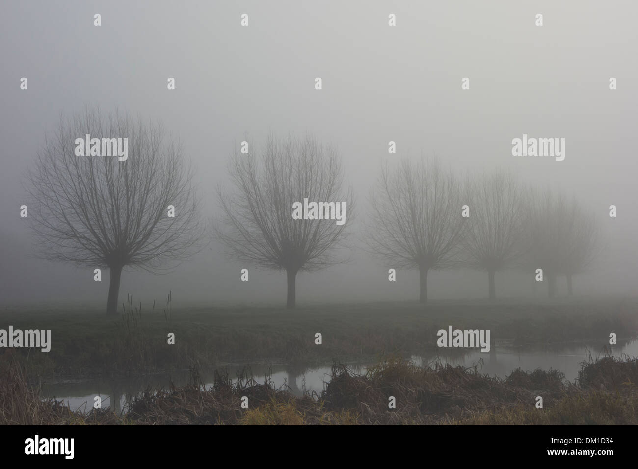 Misty Winter's mañana: niebla de la mañana se aferra a través del paisaje de Suffolk. Foto de stock
