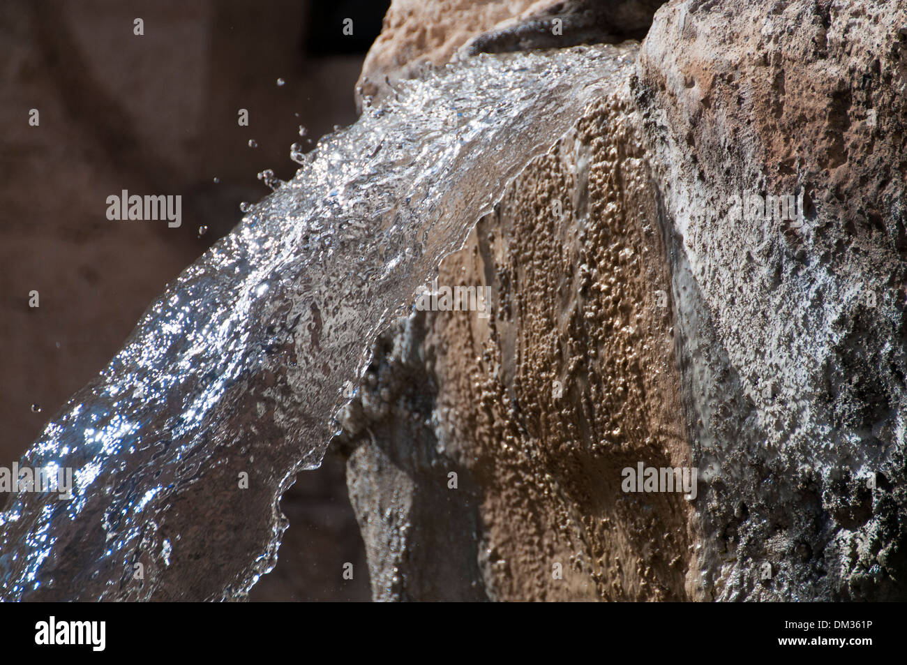 Un biofilm que crecen en la superficie de la Fontana di Trevi, Roma Foto de stock
