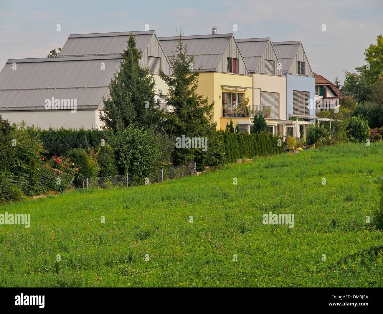Techos coloridos triángulo fenster cocinado Dietikon Suiza otoño molder planta viviendas unifamiliares, casas de prado Foto de stock