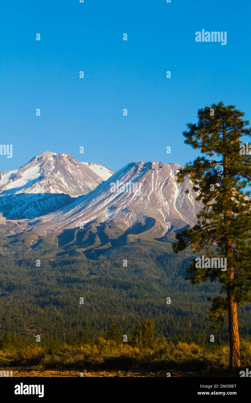Monte Shasta California del Norte EE.UU. Foto de stock