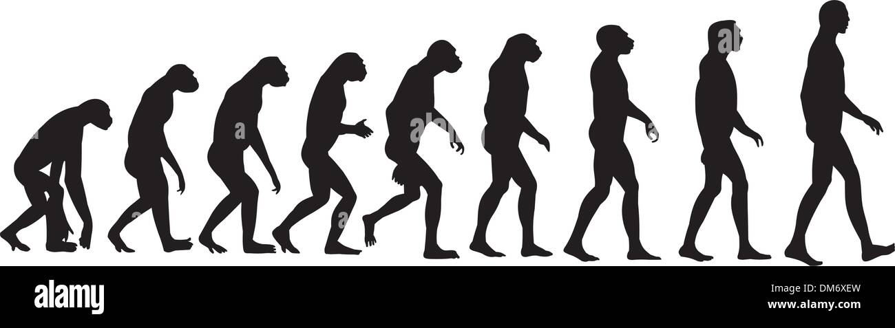 evolución humana Ilustración del Vector