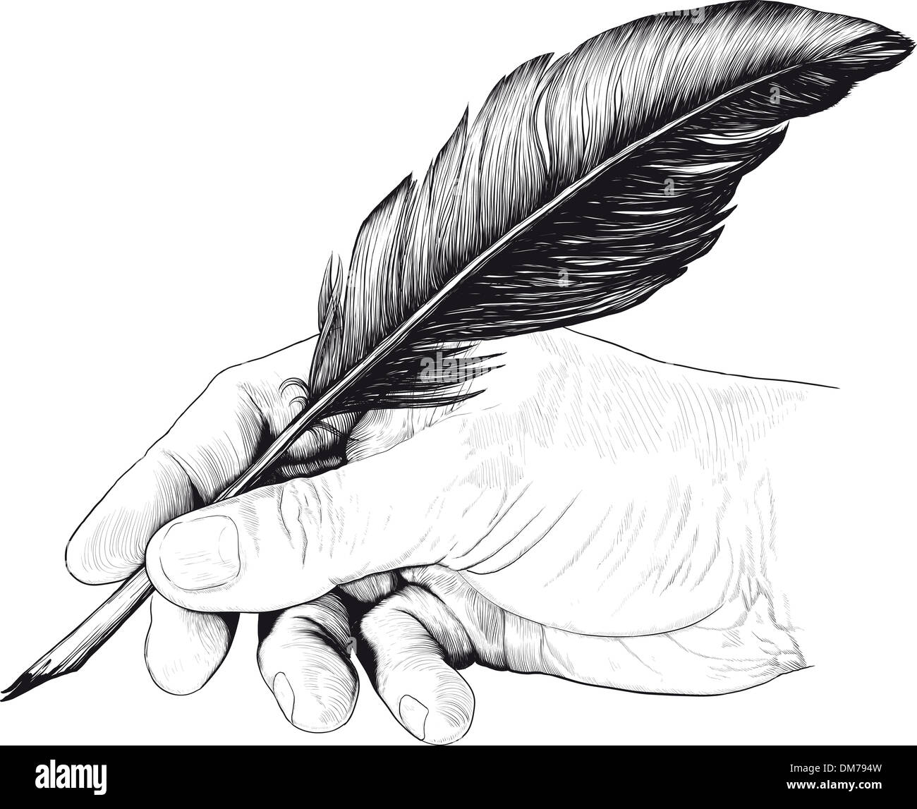 Dibujo de mano con una pluma pluma Fotografía de stock Alamy