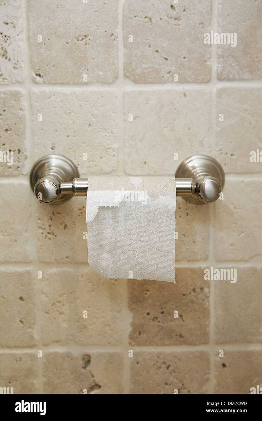 Poner a prueba o probar Leve Desalentar Cerca de la pared portarrollos con rollo de papel higiénico vacío en un  hotel francés en París, Francia, Europa Fotografía de stock - Alamy
