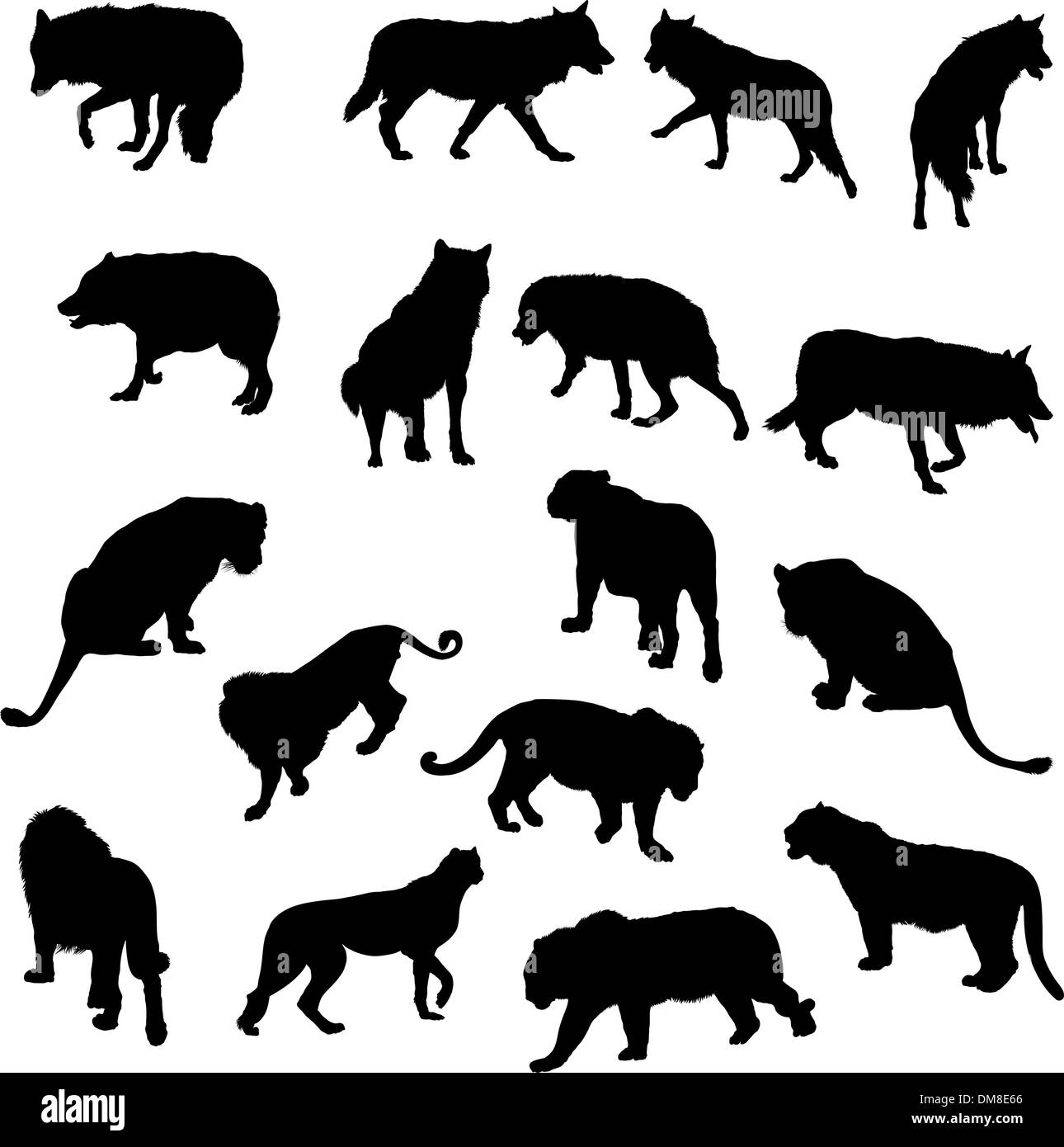 Conjunto de lobos, tigres y leones leopareds siluetas Ilustración del Vector
