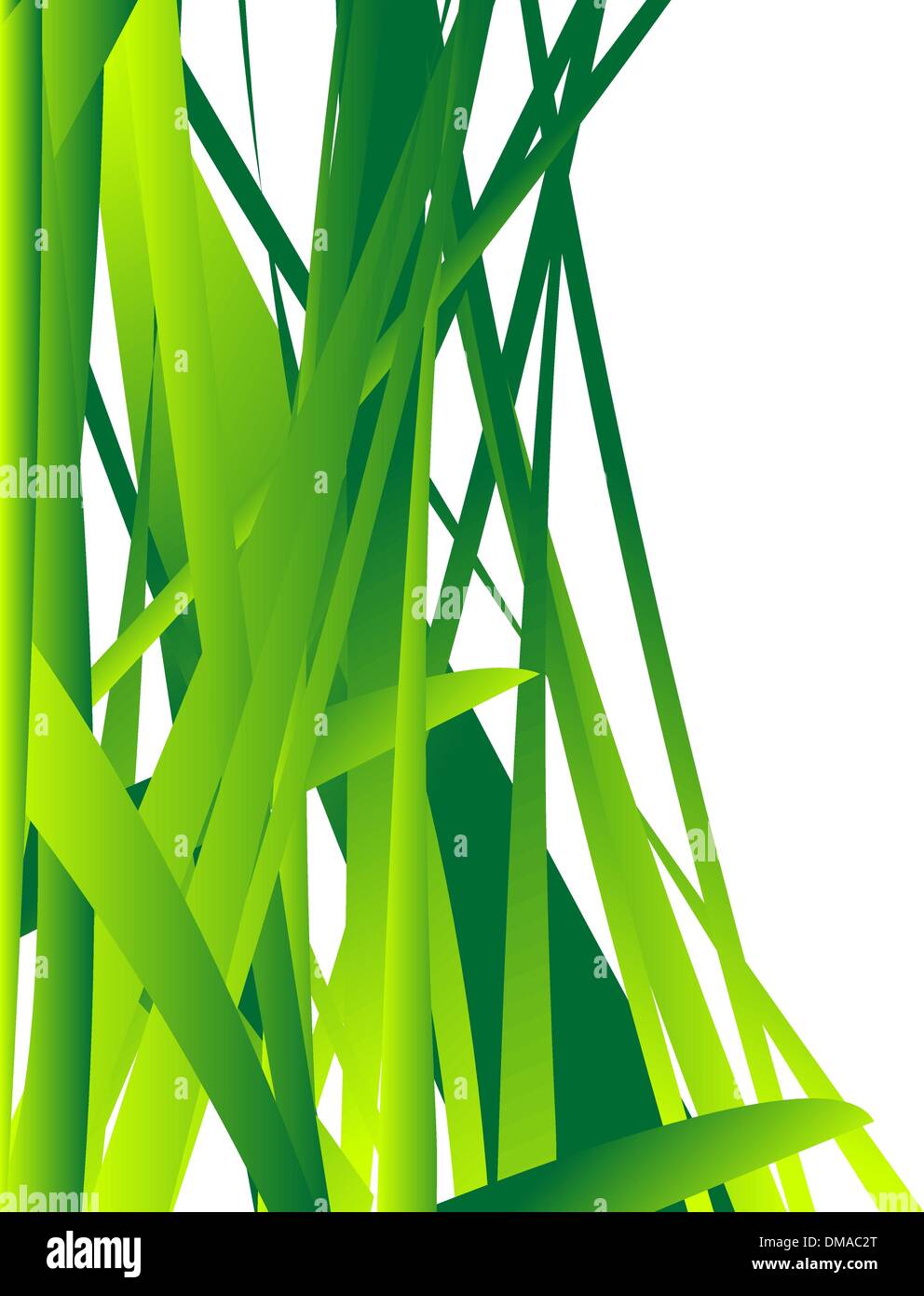 Fondo de hojas de hierba fresca Ilustración del Vector