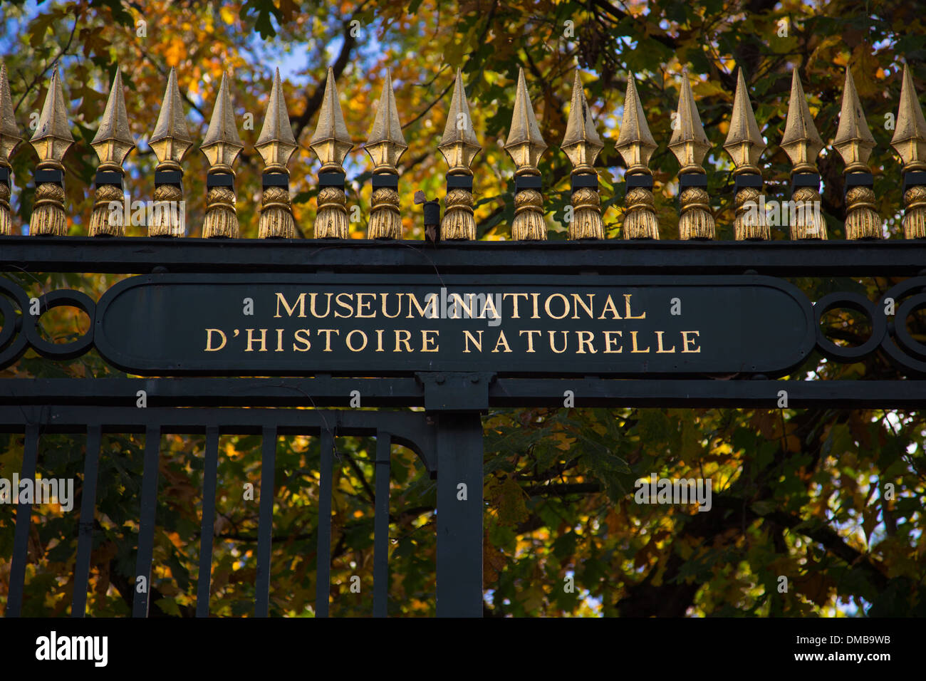 Cuvier fotografías e imágenes de alta resolución Alamy