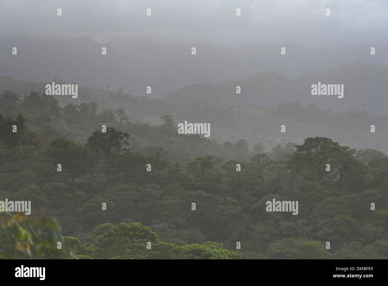 Lluvia cayendo en un bosque lluvioso de Costa Rica, cerca del Lago Arenal. Foto de stock