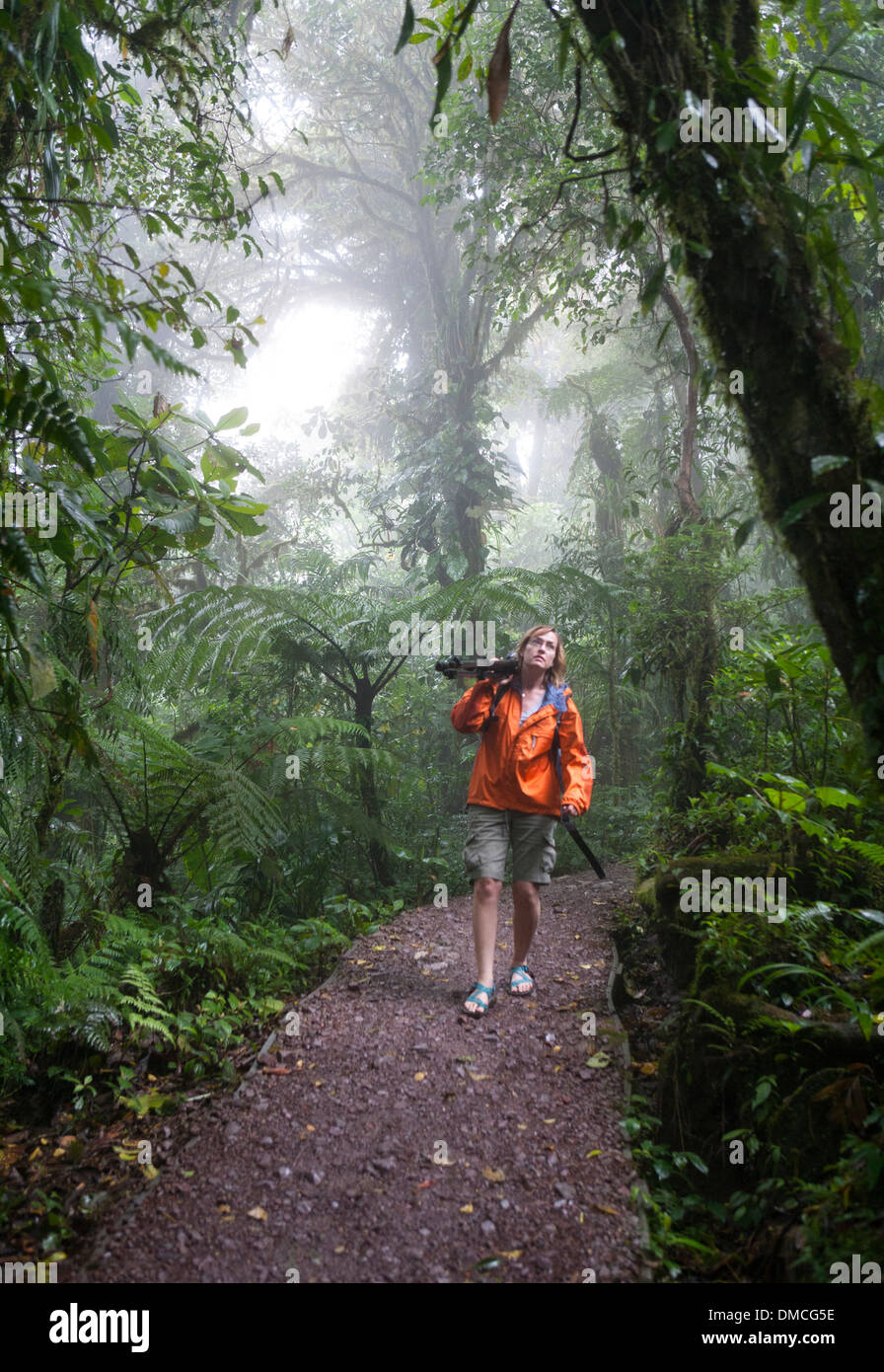 Caminante en el Bosque Nuboso de Monteverde en Costa Rica. Foto de stock