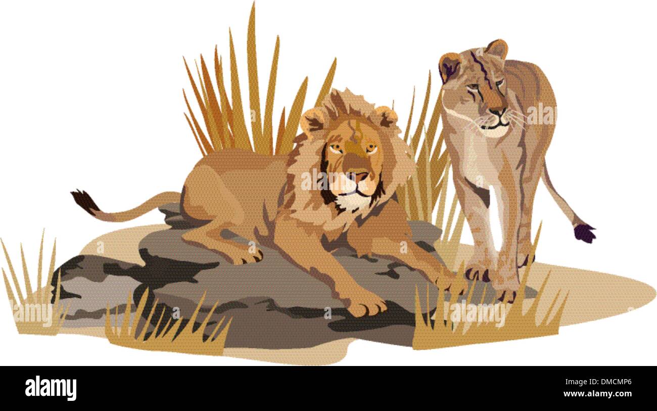 Leones africanos Ilustración del Vector