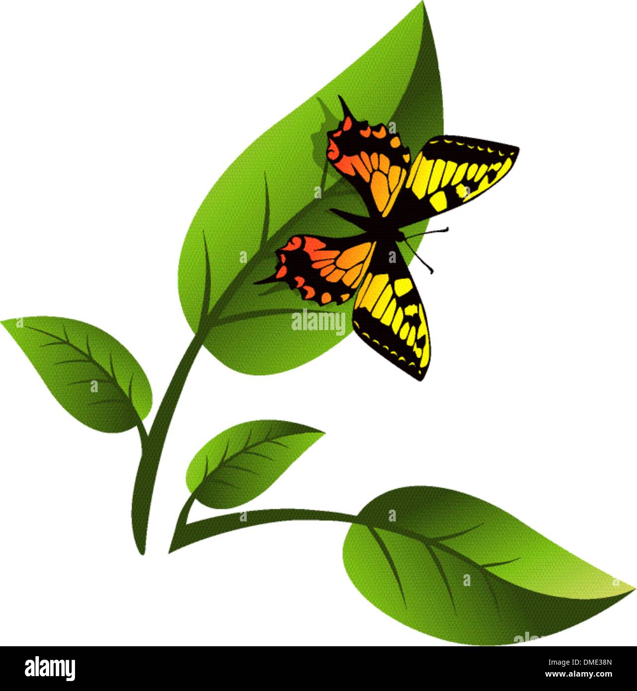 Hoja y Butterfly Ilustración del Vector