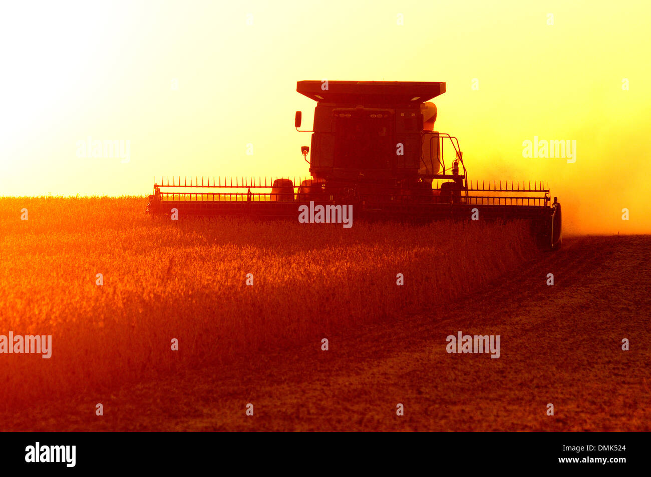 Una cosechadora John Deere cosechar soja al atardecer Foto de stock