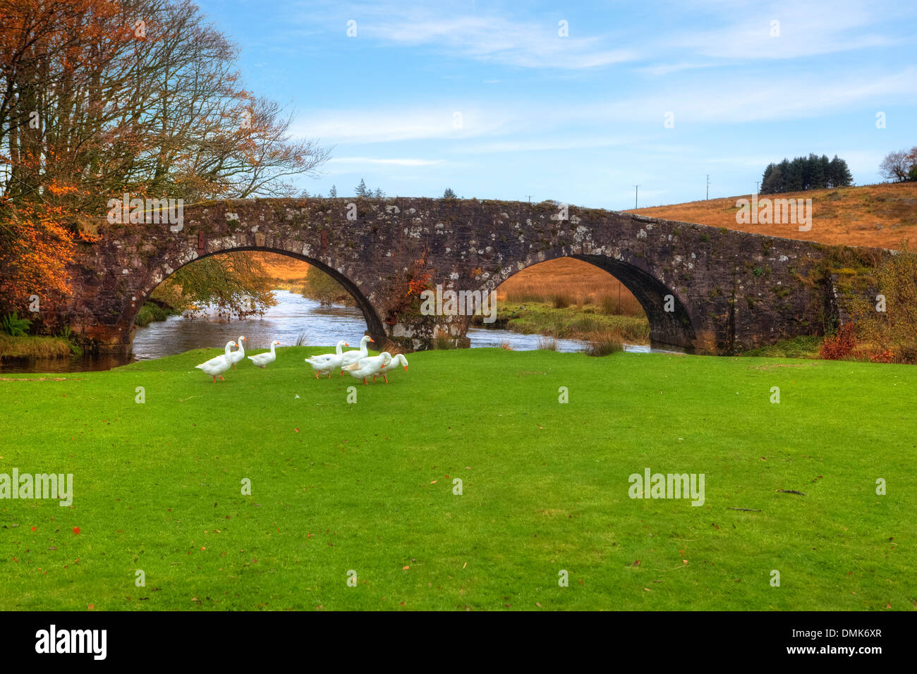 Dos puentes, Princetown, Dartmoor, Devon, Inglaterra, Reino Unido Foto de stock