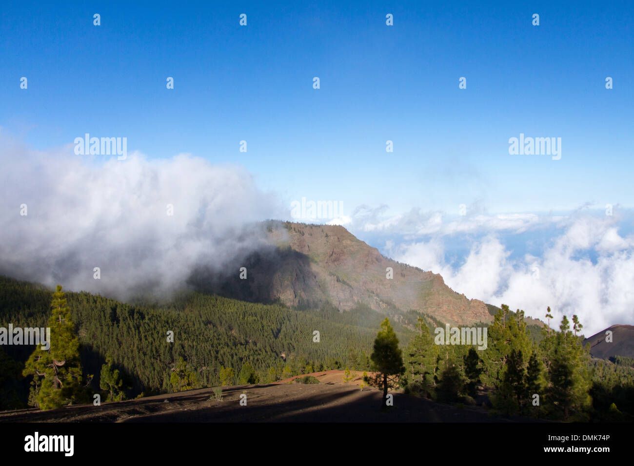 Nubes sobre la Montaña de la Crucita Parque y pinos en la Cumbre Cordillera Dorsal, Parque Nacional del Teide, Tenerife Foto de stock