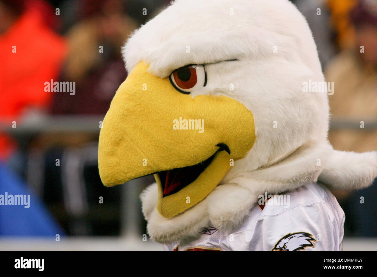 Mascota del águila fotografías e imágenes de alta resolución - Alamy
