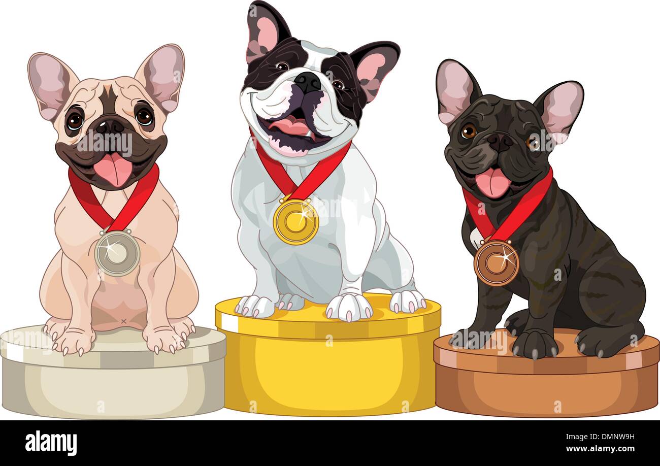 Ganadores del concurso de perros Imagen Vector de stock - Alamy