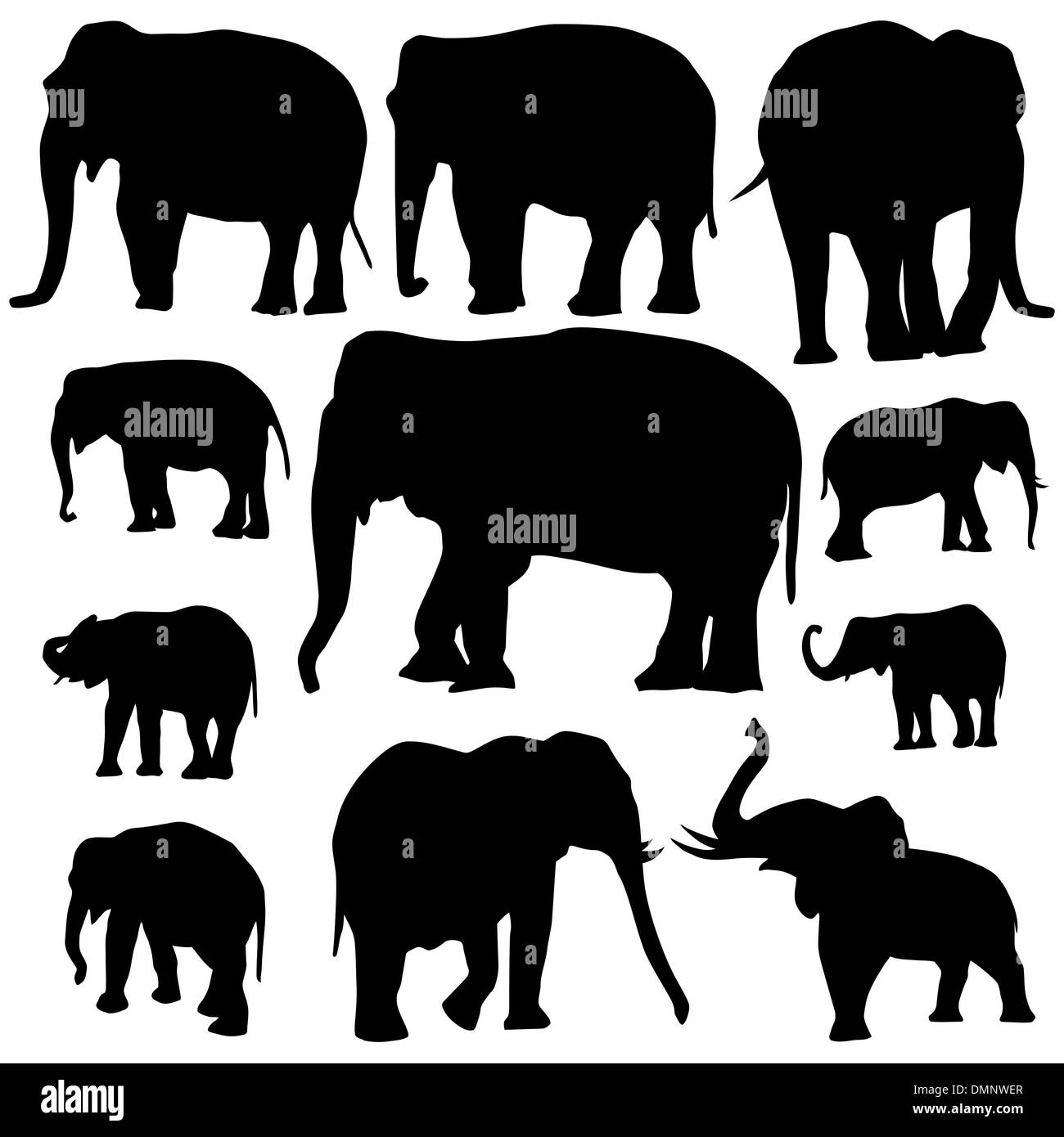 Siluetas de elefantes sobre fondo blanco. Ilustración del Vector