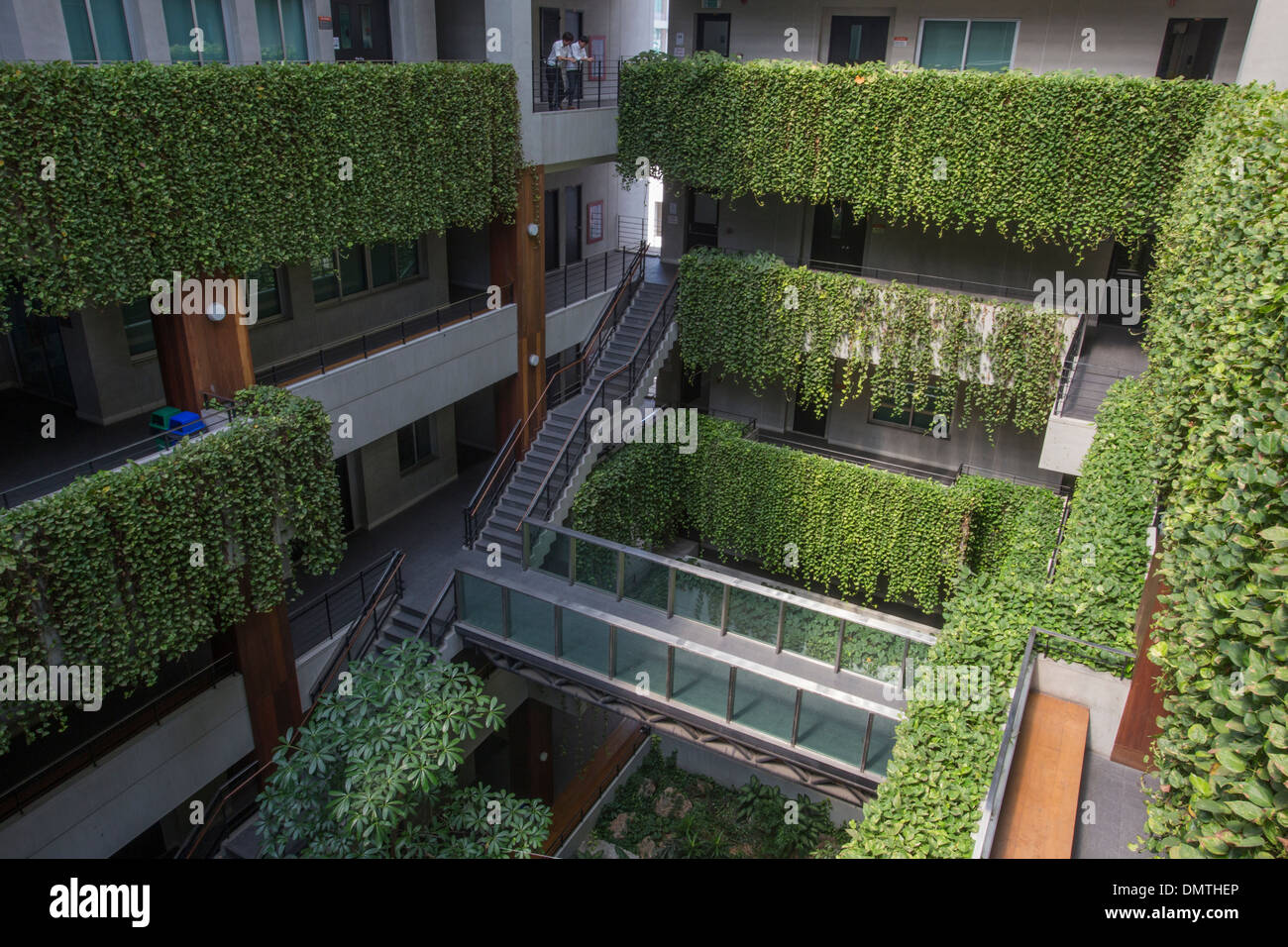Jardín Vertical de pared verde en la Facultad de Economía de la Universidad Kasetsart. Foto de stock