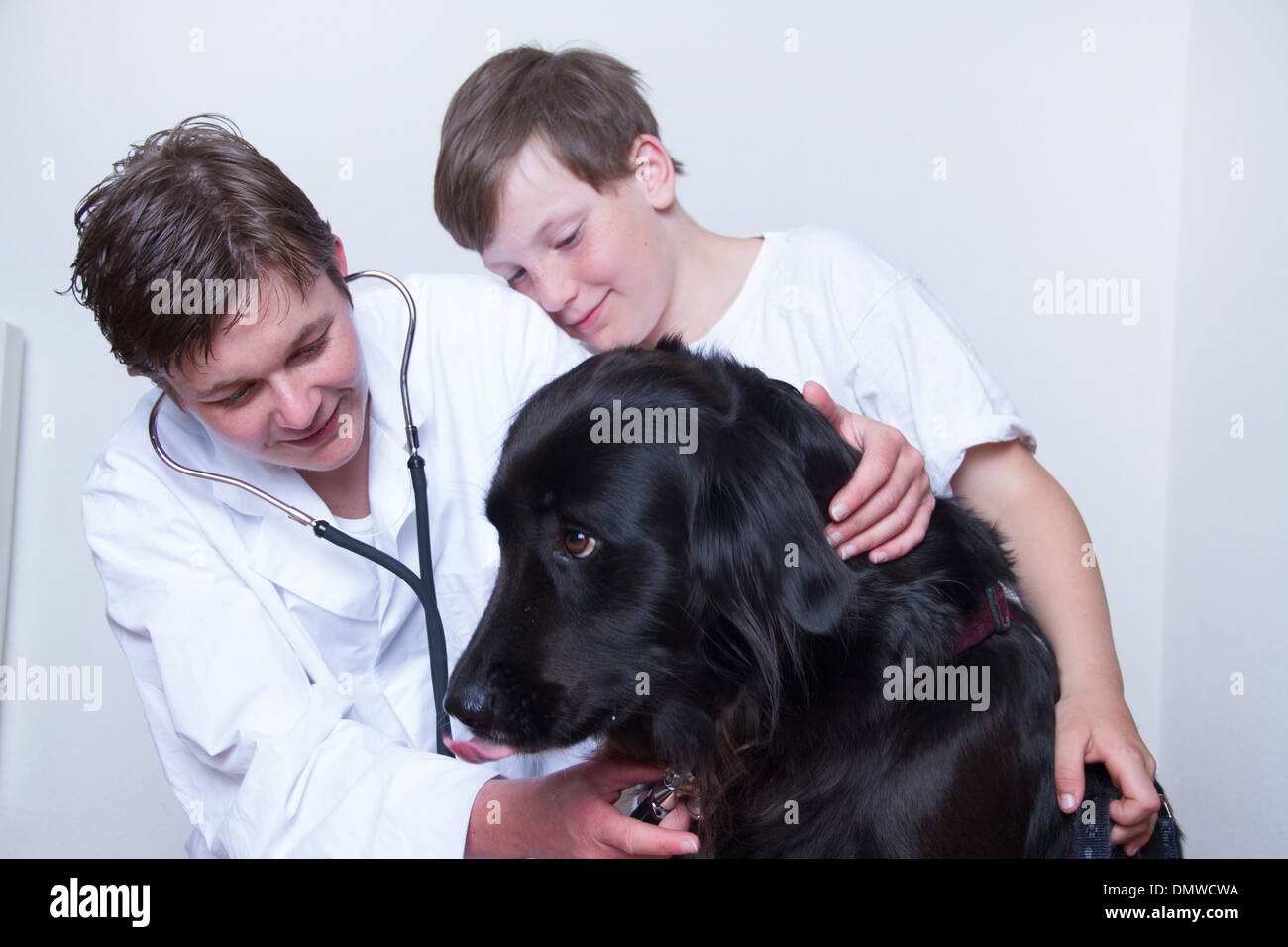 Mujer con un veterinario y un joven animal Foto de stock