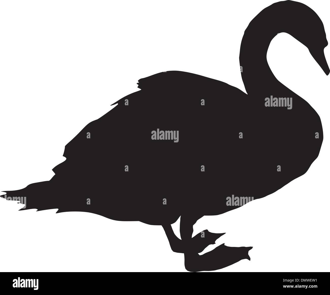 Cisne blanco posando Imágenes vectoriales de stock Alamy