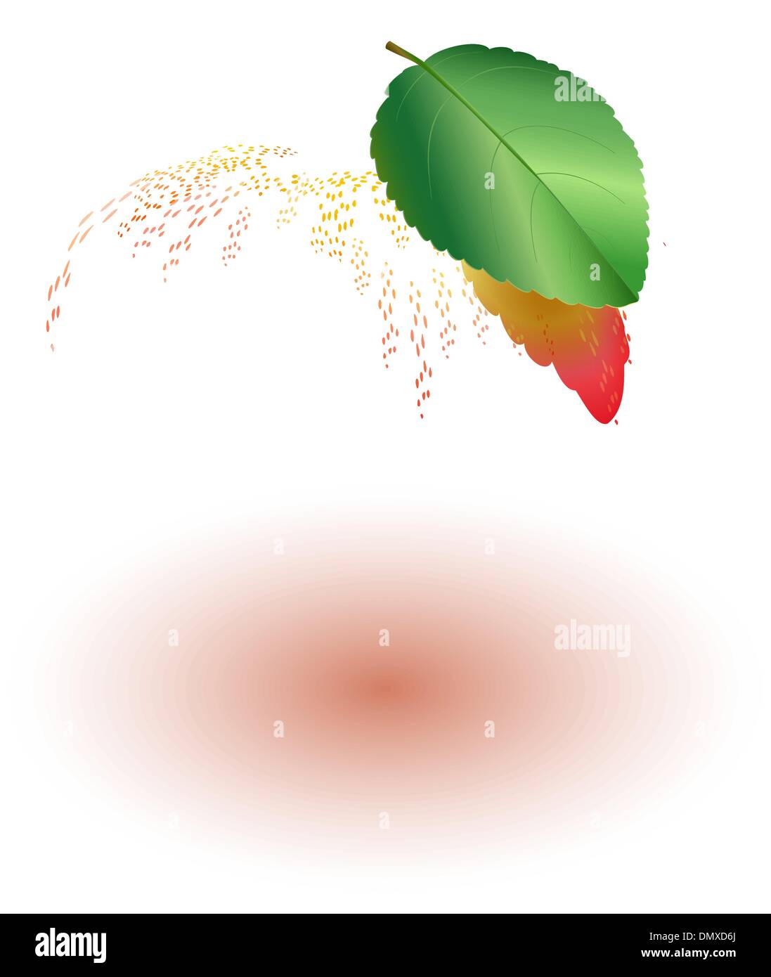 Manzana roja con hoja verde Ilustración del Vector
